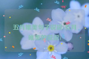 五月唯美句子说说(五月唯美的说说)