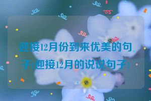 迎接12月份到来优美的句子(迎接12月的说说句子)
