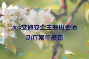 2023交通安全主题班会活动方案年最新