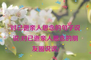 对已逝亲人思念的句子说说(对已逝亲人思念的朋友圈说说)