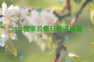 2023.国家公祭日演讲稿篇