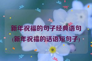 新年祝福的句子经典语句(新年祝福的话语短句子)