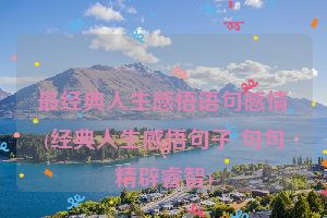 最经典人生感悟语句感情(经典人生感悟句子 句句精辟睿智)