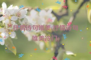 抒情诗句唯美(抒情诗句唯美冷门)