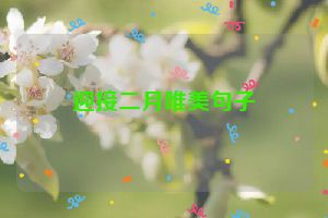 迎接二月唯美句子