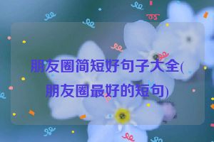 朋友圈简短好句子大全(朋友圈最好的短句)