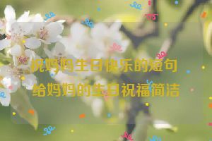 祝妈妈生日快乐的短句 给妈妈的生日祝福简洁