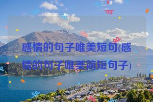 感情的句子唯美短句(感情的句子唯美简短句子)