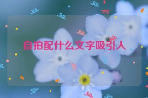 自拍配什么文字吸引人