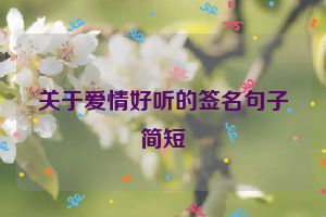 关于爱情好听的签名句子简短