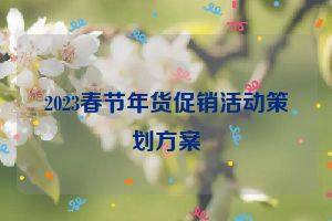 2023春节年货促销活动策划方案