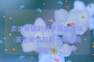 表达爱情的句子唯美简短(表达爱情的句子唯美简短短句)