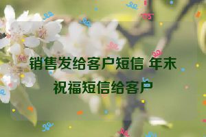 销售发给客户短信 年末祝福短信给客户
