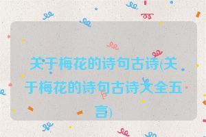 关于梅花的诗句古诗(关于梅花的诗句古诗大全五言)