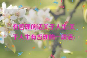 有哲理的话关于人生(关于人生有哲理的一段话)