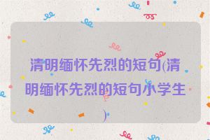 清明缅怀先烈的短句(清明缅怀先烈的短句小学生)