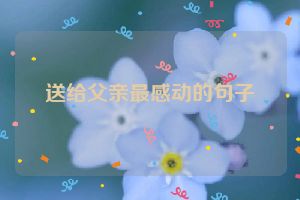 送给父亲最感动的句子