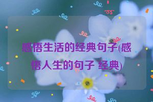 感悟生活的经典句子(感悟人生的句子 经典)