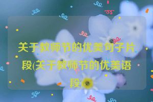 关于教师节的优美句子片段(关于教师节的优美语段)