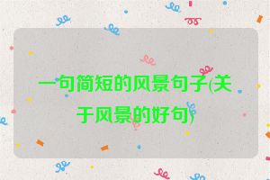 一句简短的风景句子(关于风景的好句)