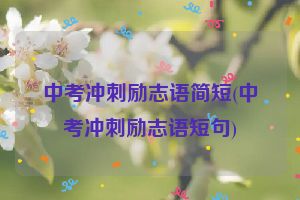 中考冲刺励志语简短(中考冲刺励志语短句)