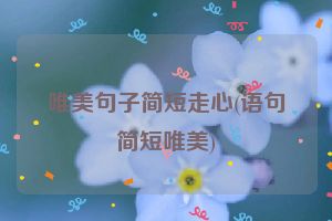 唯美句子简短走心(语句简短唯美)
