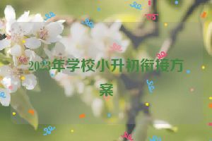2023年学校小升初衔接方案