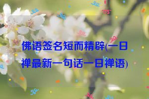 佛语签名短而精辟(一日禅最新一句话一日禅语)
