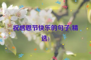 祝感恩节快乐的句子(精选)