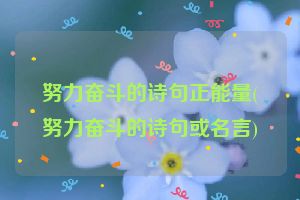 努力奋斗的诗句正能量(努力奋斗的诗句或名言)