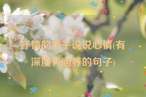 抒情的句子说说心情(有深度有涵养的句子)