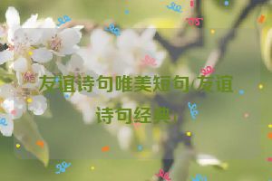友谊诗句唯美短句(友谊诗句经典)