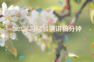 2023学习经验演讲稿分钟
