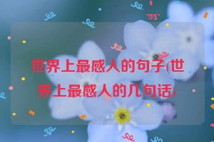 世界上最感人的句子(世界上最感人的几句话)