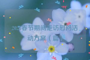 2023春节期间走访慰问活动方案（篇）
