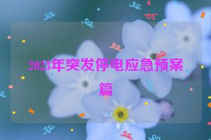 2023年突发停电应急预案篇