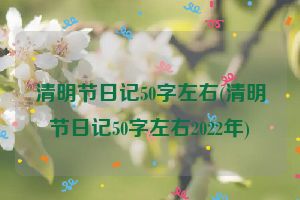 清明节日记50字左右(清明节日记50字左右2022年)