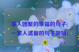 家人团聚的幸福的句子(一家人温馨的句子简短)