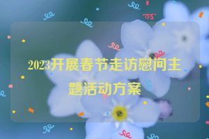 2023开展春节走访慰问主题活动方案