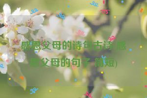 感恩父母的诗句古诗(感恩父母的句子 简短)