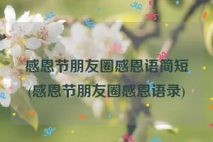 感恩节朋友圈感恩语简短(感恩节朋友圈感恩语录)