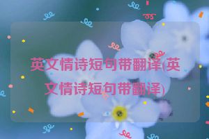 英文情诗短句带翻译(英文情诗短句带翻译)