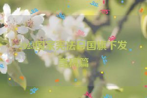 2023国家宪法日国旗下发言稿篇
