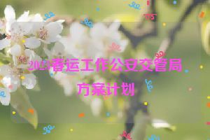 2023春运工作公安交管局方案计划
