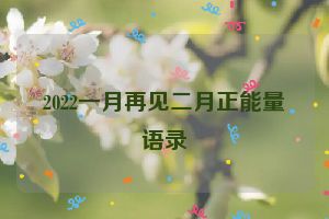 2022一月再见二月正能量语录