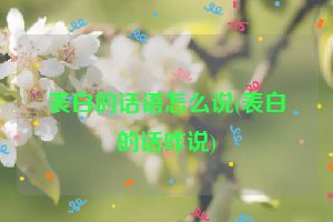 表白的话语怎么说(表白的话咋说)