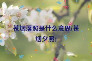 苍烟落照是什么意思(苍烟夕照)
