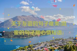 关于友谊的句子唯美(闺蜜的句子暖心情短语)