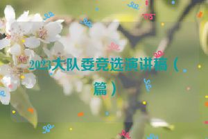 2023大队委竞选演讲稿（篇）