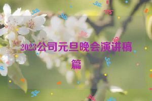 2023公司元旦晚会演讲稿篇